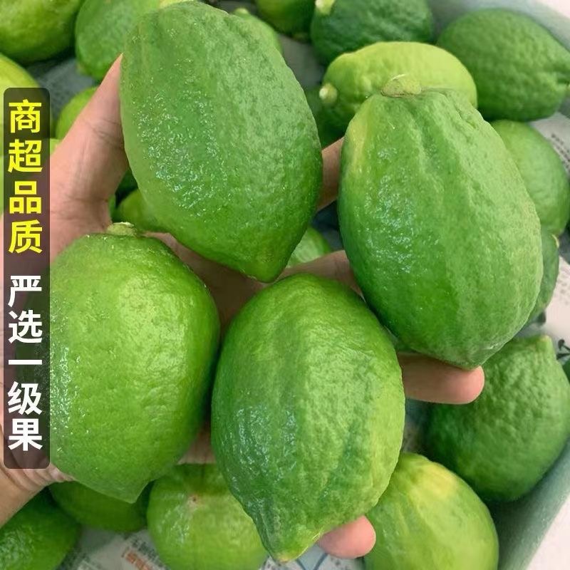 广西香水柠檬青黄色柠檬新鲜鲜果1斤装