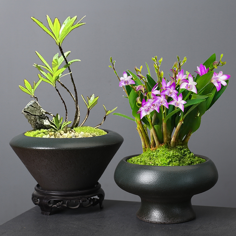 陶瓷插花花器禅意水仙花铜钱草水培盆器皿中式日式复古花艺花道