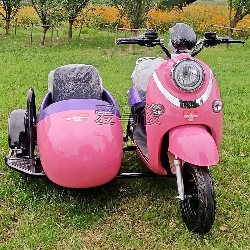 罗马假日电动边三轮踏板小龟挎子偏三轮休闲旅游景区代电动车车篮