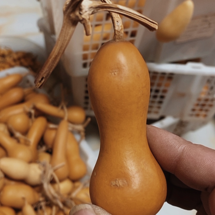 【闪购商品】铜葫芦ℳ****