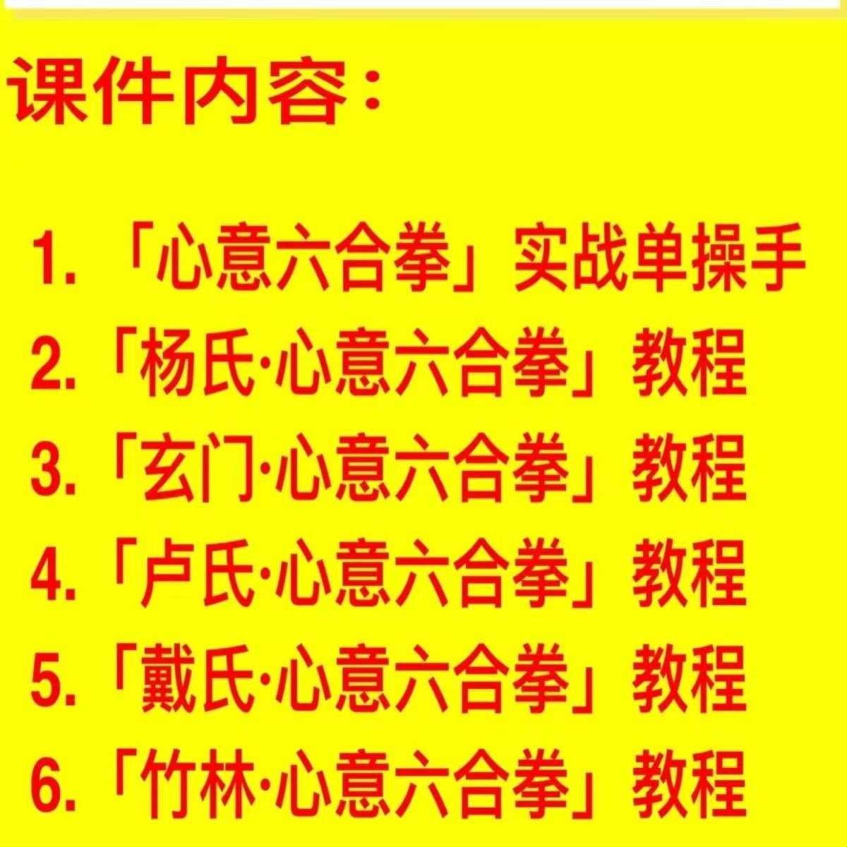 传统武术心意六合拳教学视频