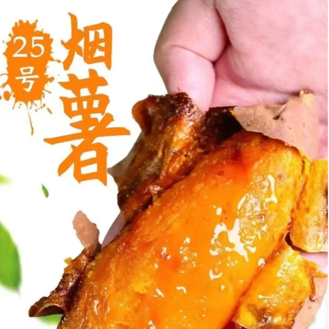 【正宗烟薯】正宗烟薯25号流油流蜜净重5斤装