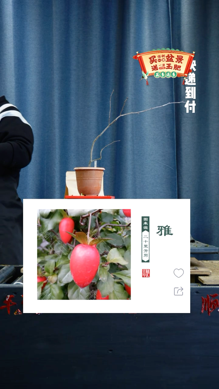 【闪购商品】1866老鸦