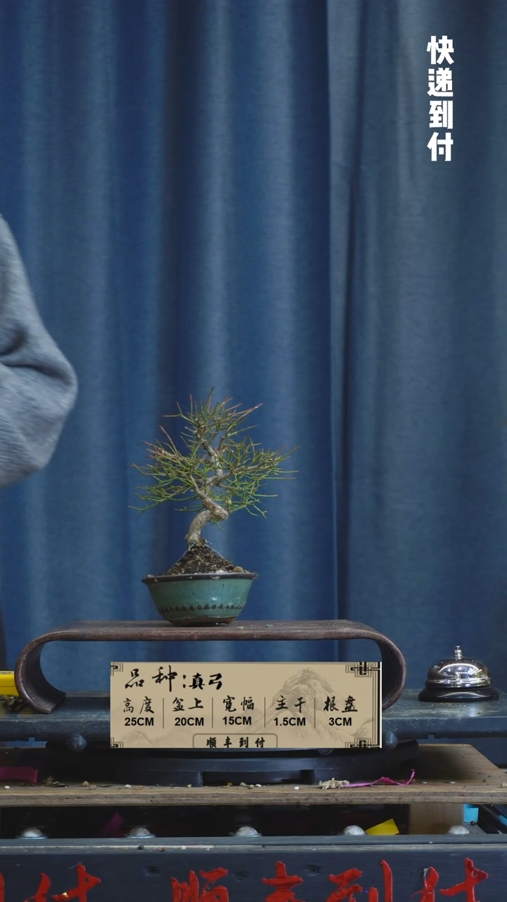 【闪购商品】1F964真弓 不包邮