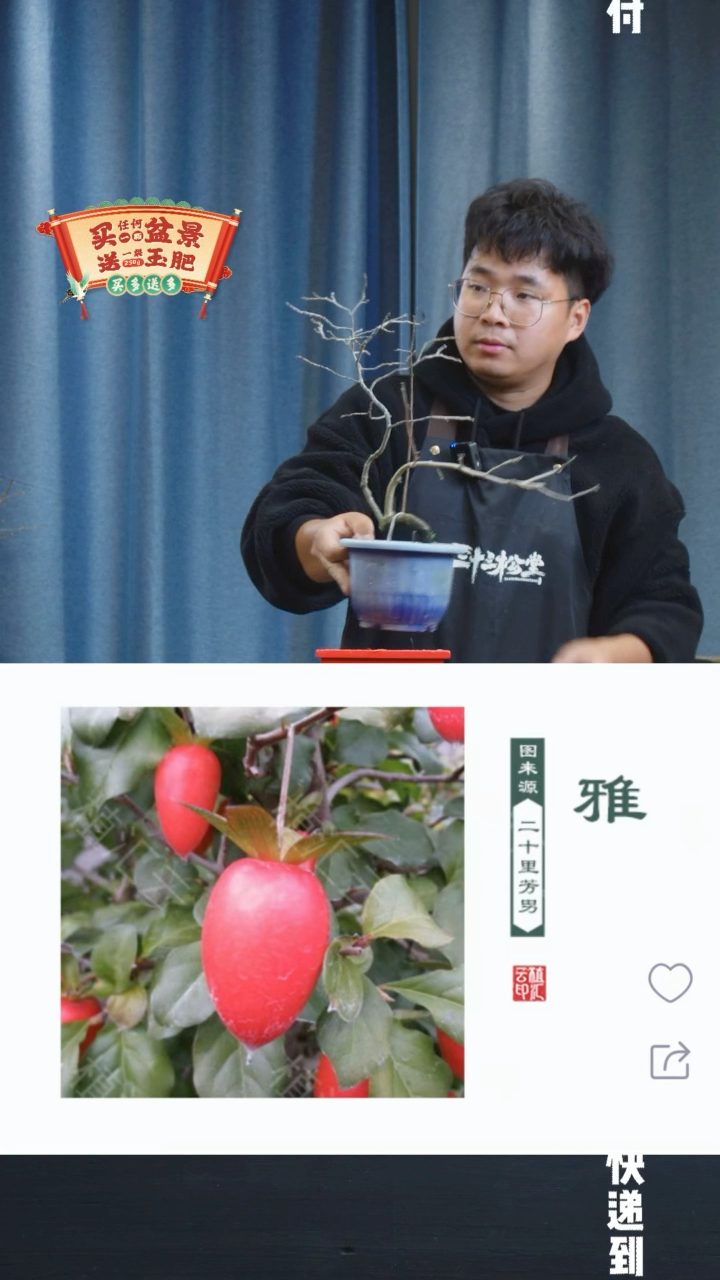 【闪购商品】1194雅老鸦