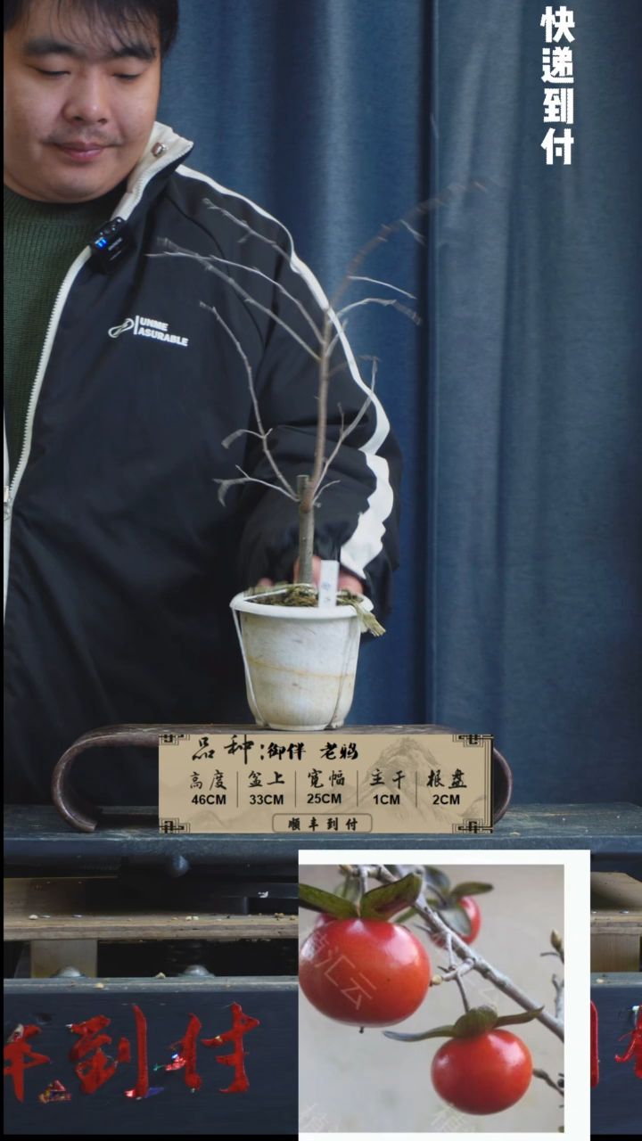【闪购商品】1L144 老鸦  不包邮