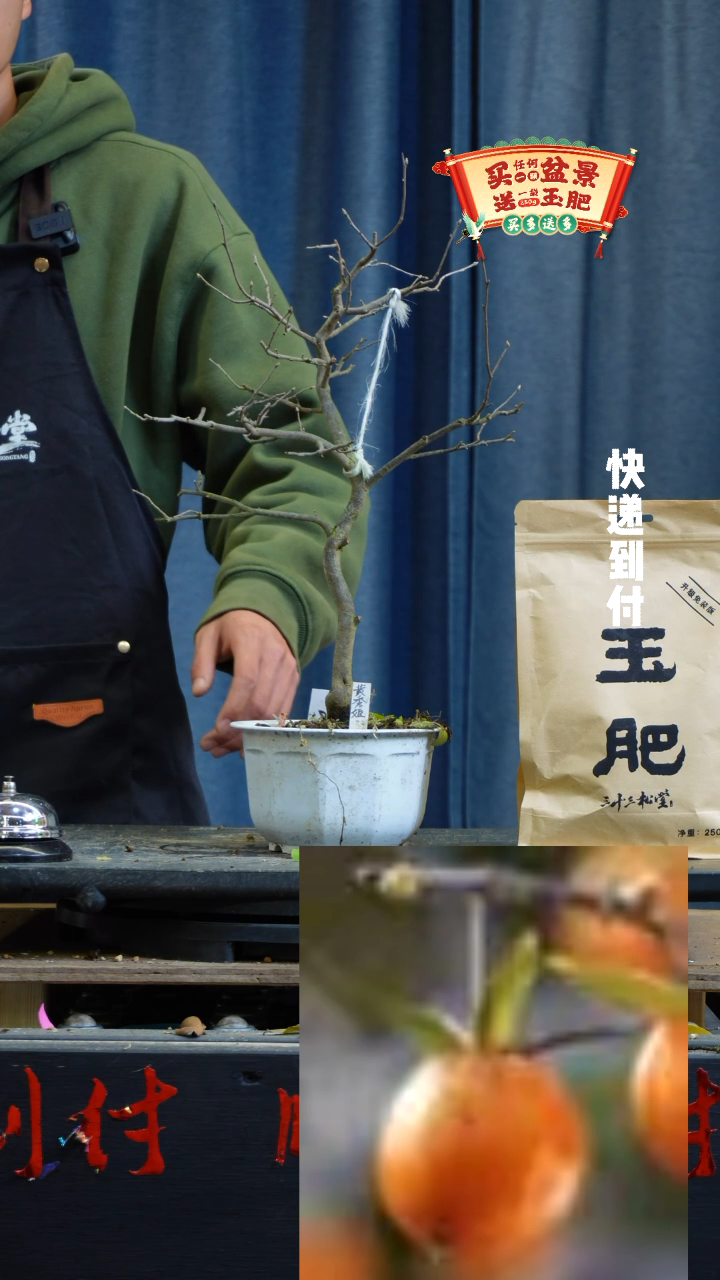【闪购商品】1355老鸦bubaoyou