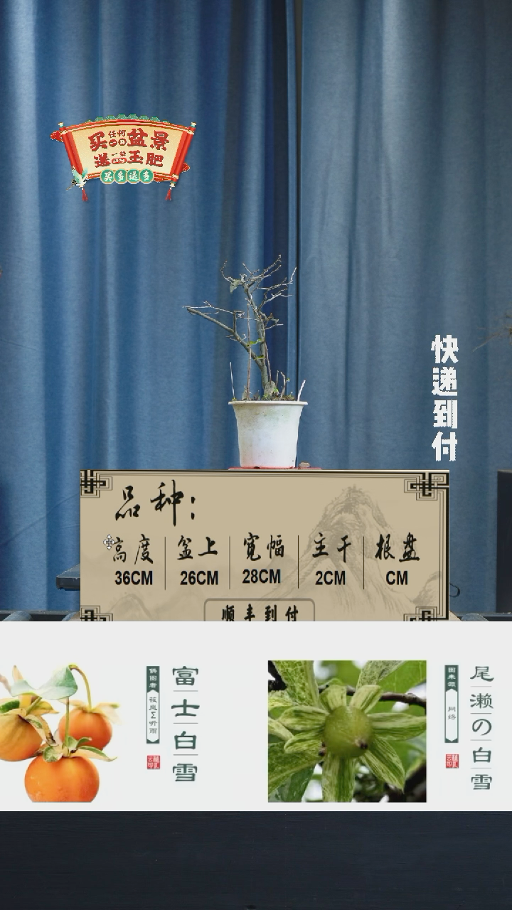 【闪购商品】1054老鸦