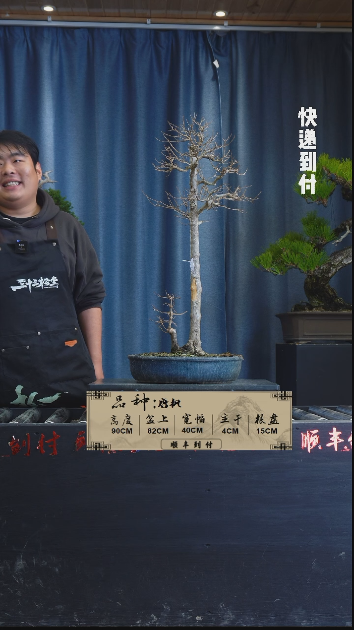 【闪购商品】1Z192唐枫 不包邮