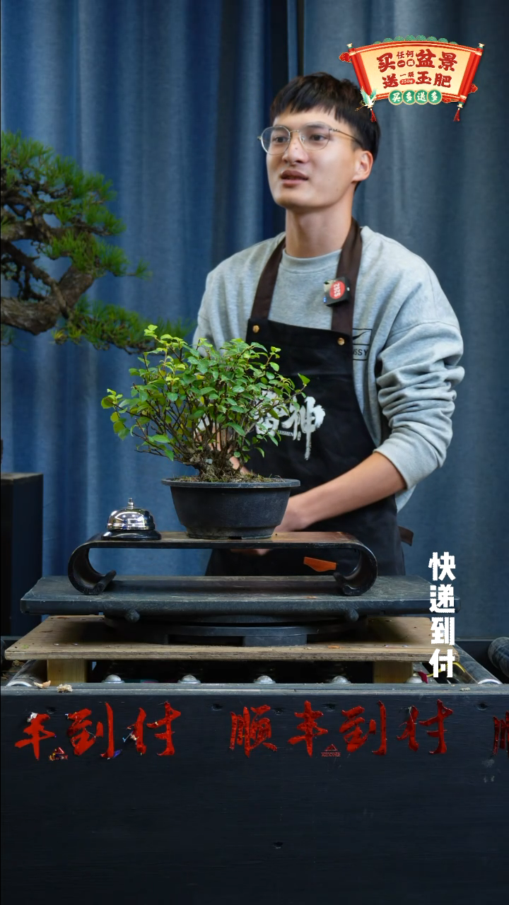 【闪购商品】1571梅凝bubaoyou
