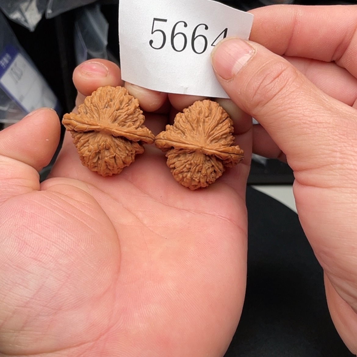 【闪购商品】文玩核桃把件5664