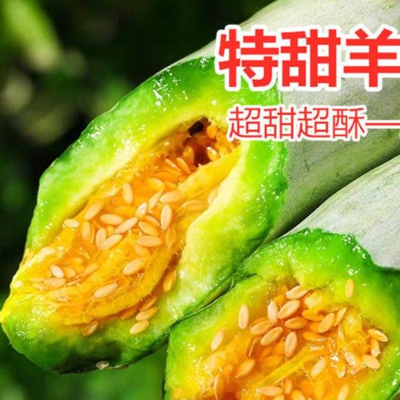羊角蜜酥甜瓜种子种籽脆密高产四季牛角香瓜蜜瓜种籽孑水果