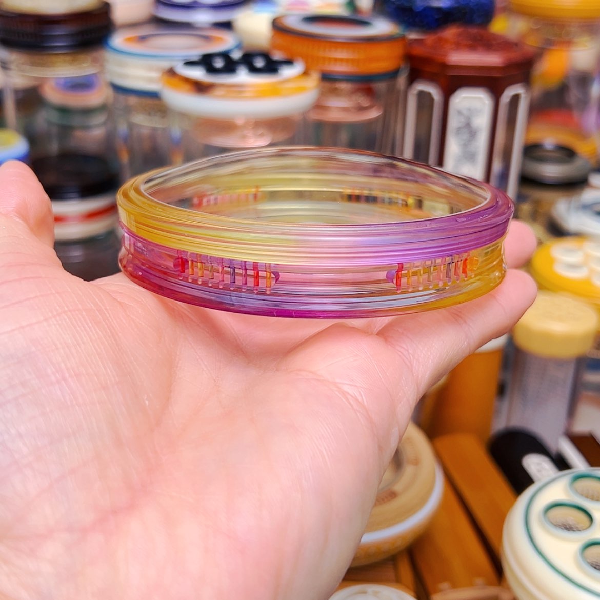 【闪购商品】紫黄万体➕柬埔寨