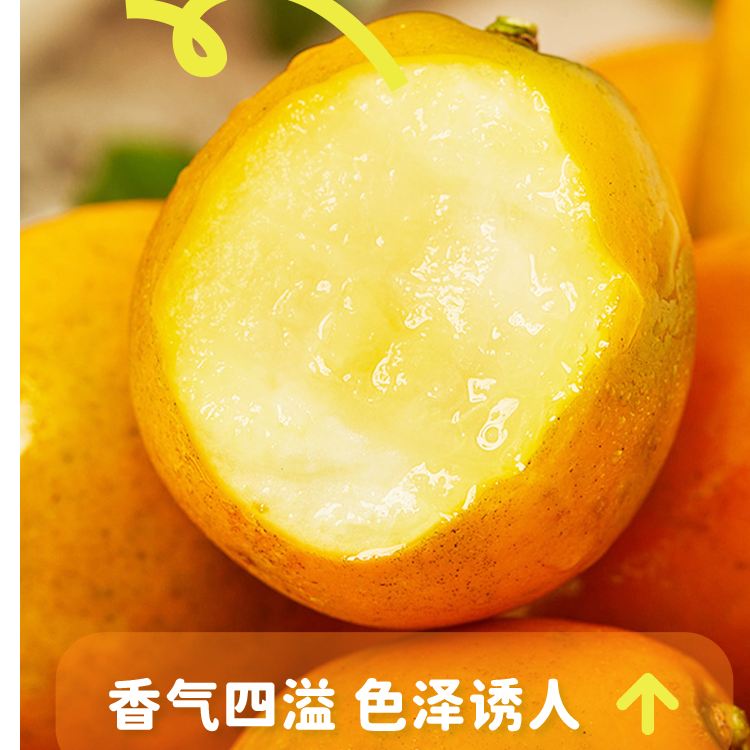 Z广西融安金桔当季新鲜水果滑皮香甜多汁【交个朋友】