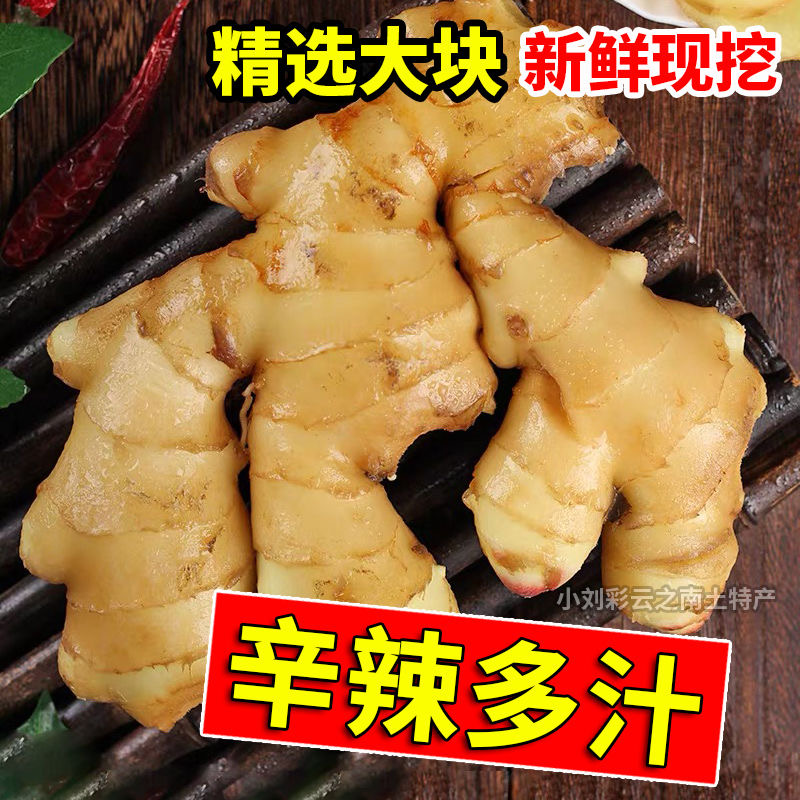 【支持比价】云南新小黄姜嫩姜鲜姜生姜新鲜黄姜0.5-9斤泡姜新鲜