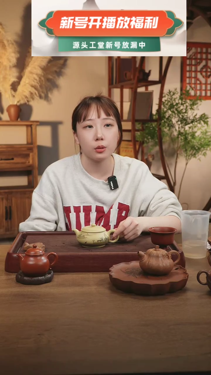 【闪购商品】紫砂茶壶明炉