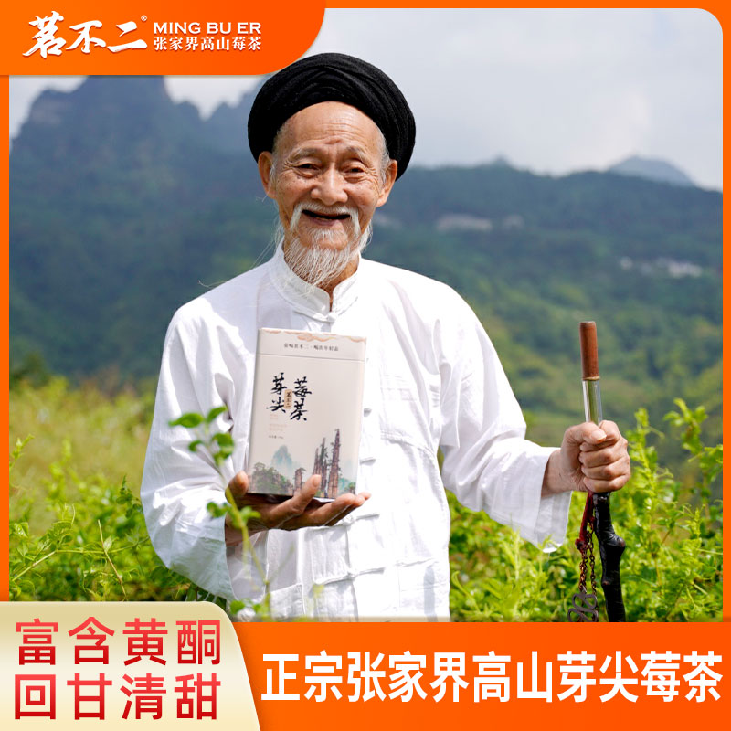 【赠品罐装100克】茗不二特级芽尖莓茶 精选高山芽尖100g罐