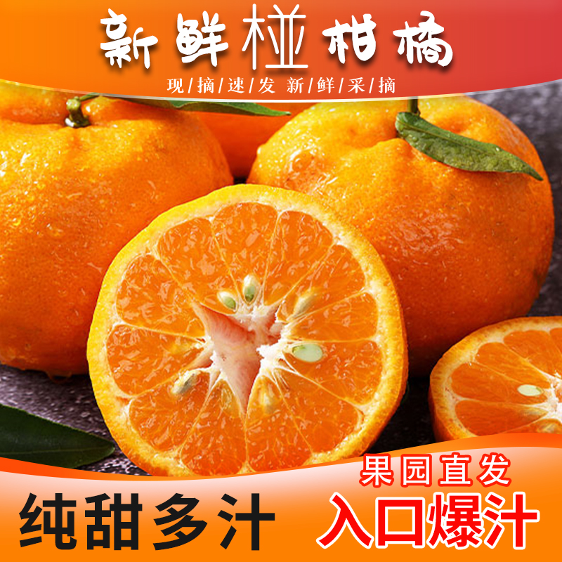 四川椪柑春见PP柑净重5斤8斤发货口口爆汁【坏果包赔】现摘现发