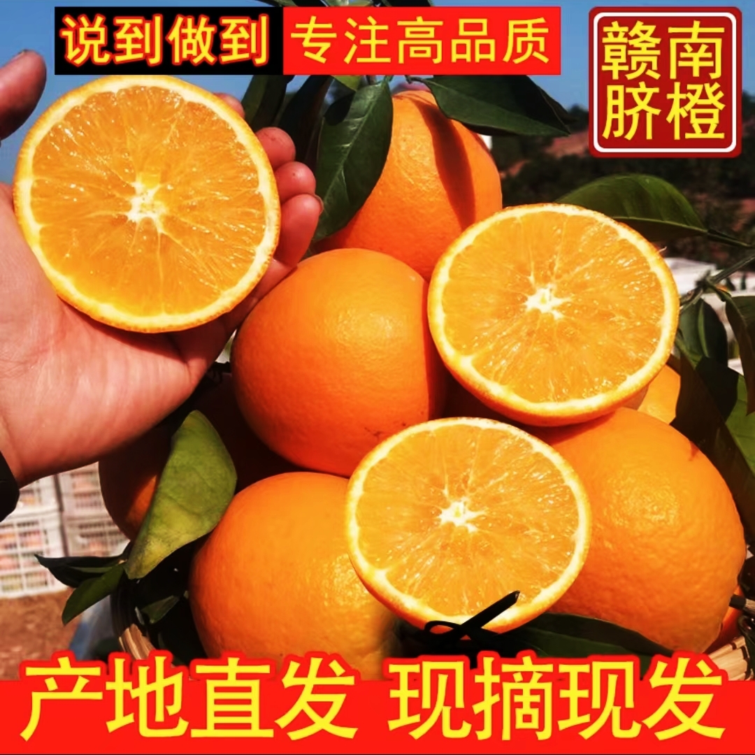 【小钟老师推荐】江西赣南脐橙原产地超大个自然熟冰糖甜橙包邮