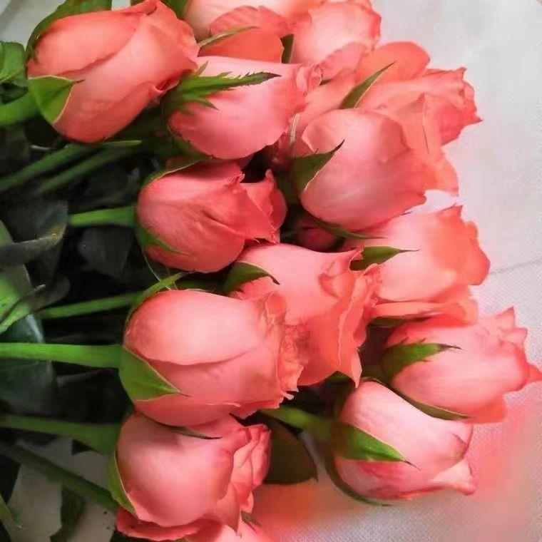 云南鲜花玫瑰花百合真花花束水养插花混搭花束鲜花速递基地直发