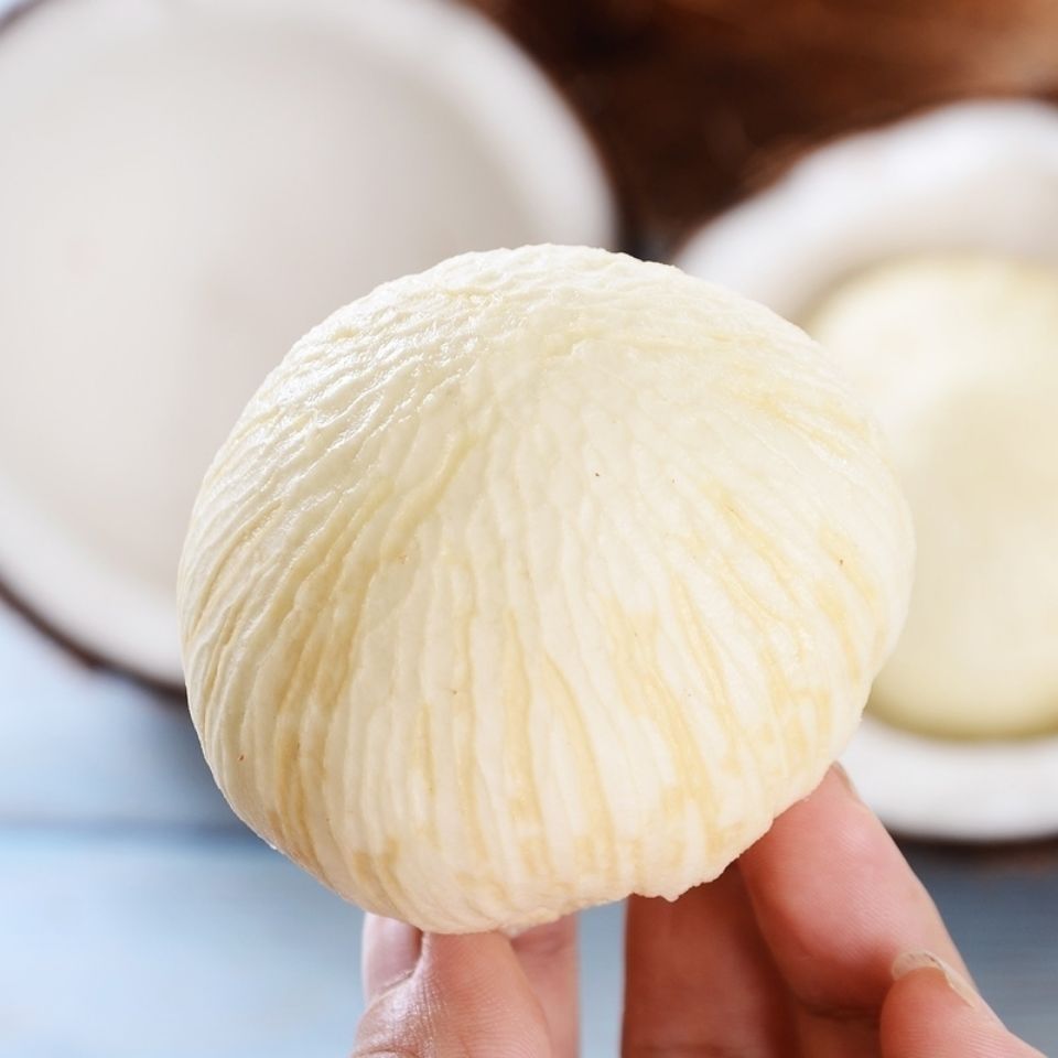 【青青】椰宝椰子宝海南新鲜水果老椰子芯发芽椰肉饼煲汤椰饼网红椰