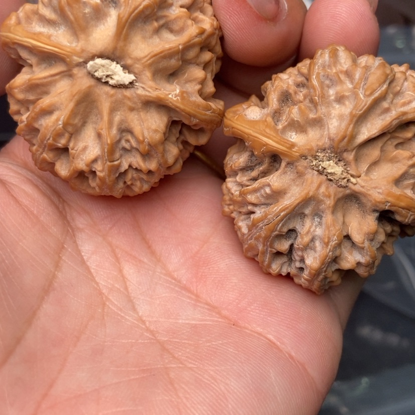 【闪购商品】文玩核桃吊坠?*子