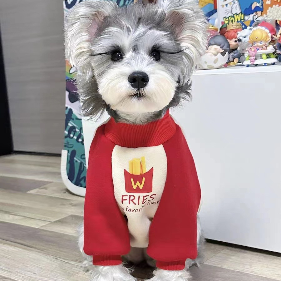 秋冬宠物潮流拼接色衣服布偶蓝猫雪纳瑞泰迪同款同款宠物加绒卫衣