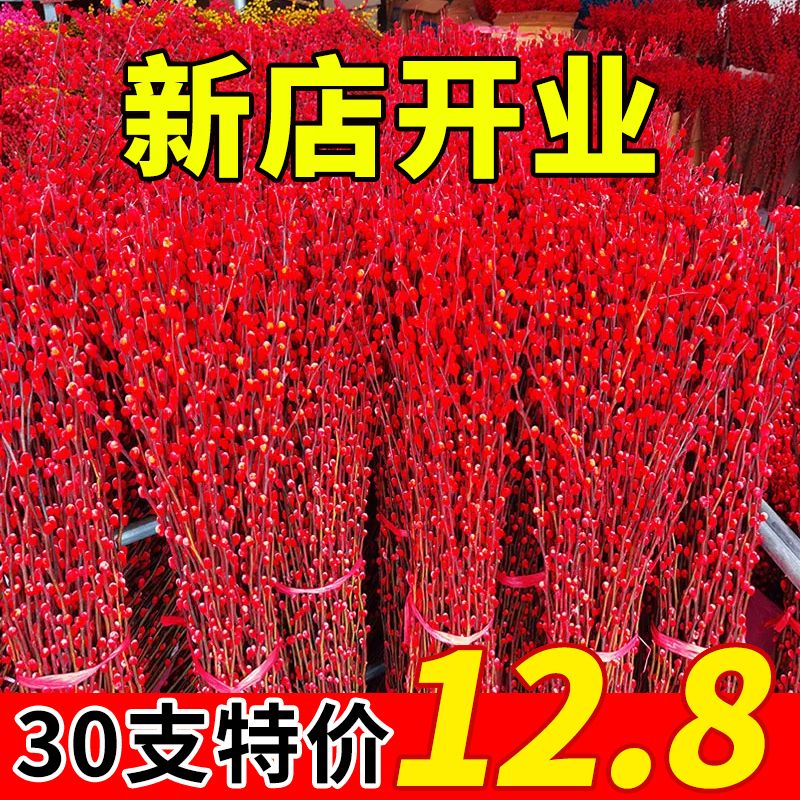 【当地热卖】红色招财银柳干花真花鲜枝水培植物红色银柳年宵装饰
