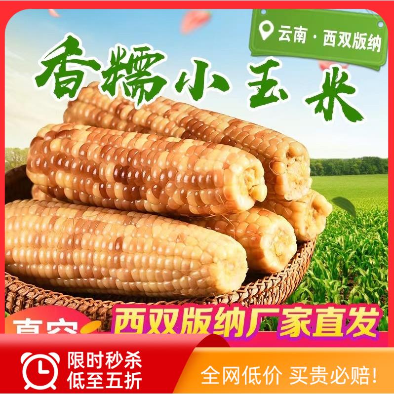云南西双版纳香糯小玉米甜软花糯包谷傣族家新鲜即食特产真空包邮