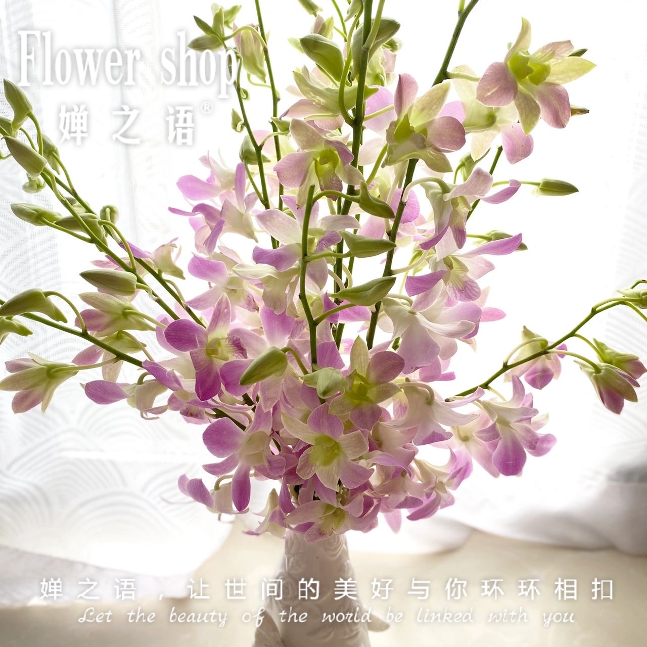 婵之语优选泰国进口露西洋兰鲜切花日常瓶插