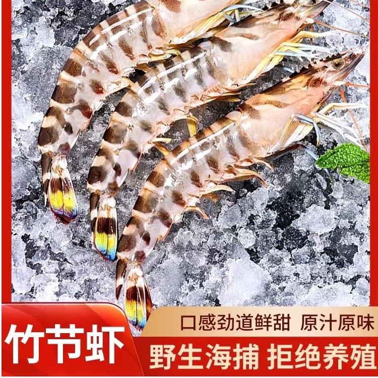 野生竹节虾 九节虾(斑节虾) 45只左右/斤 共2斤 鲜虾速冻锁鲜顺丰