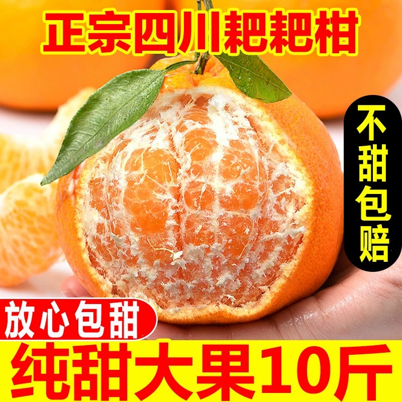 【小扬哥推荐】四川特级春见耙耙柑粑粑柑10斤橘子甜当季整箱新鲜