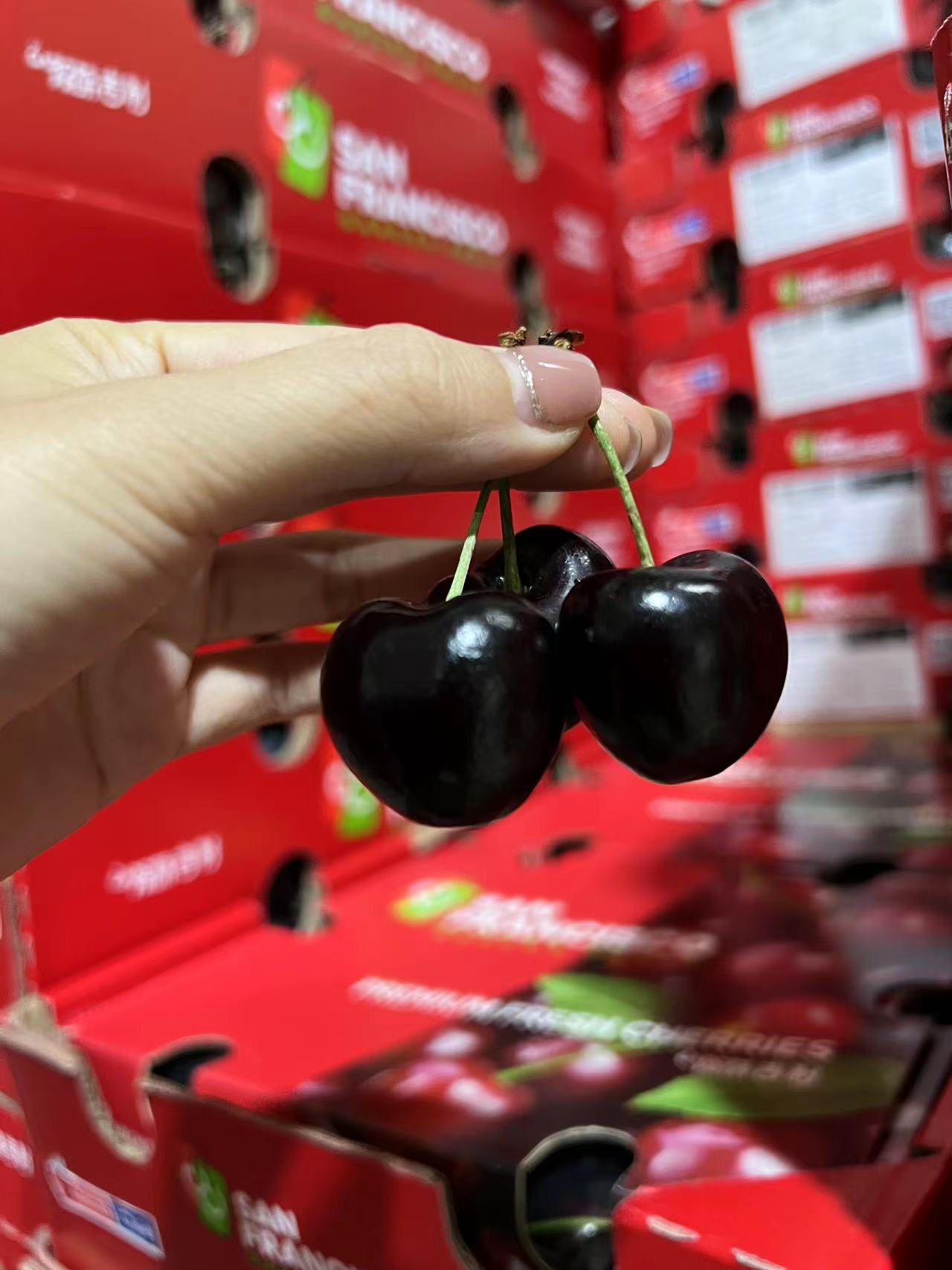 4J车厘子（2500g）