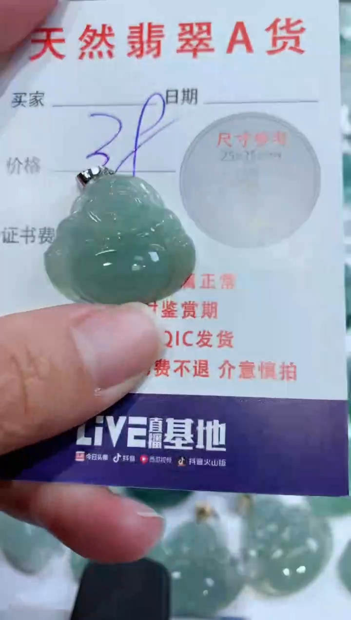 【闪购商品】翡翠颈饰未镶嵌1