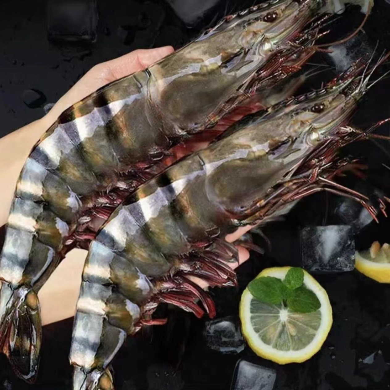 新鲜海捕黑虎虾3斤16/20规格（20厘米左右）活虾速冻发货