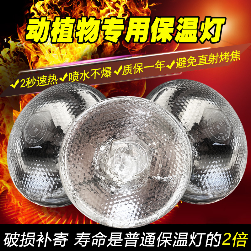 动植物增温灯生长灯大棚温室蔬菜花卉保温灯取暖灯灯