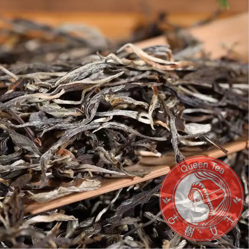 古树女王--冰岛坝歪古树混采---生普 100克散茶