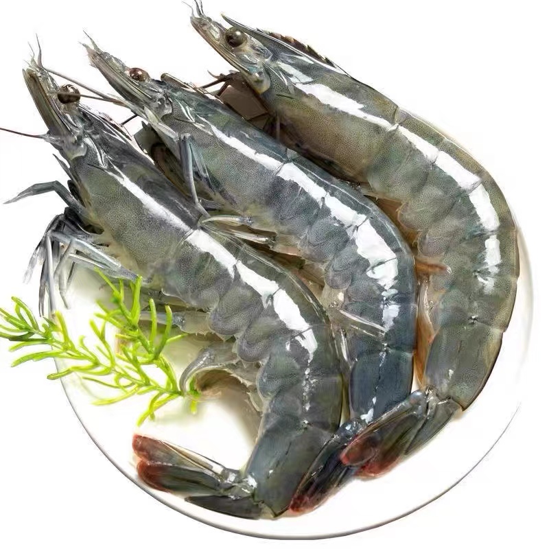 海水大虾 250g 尝鲜装