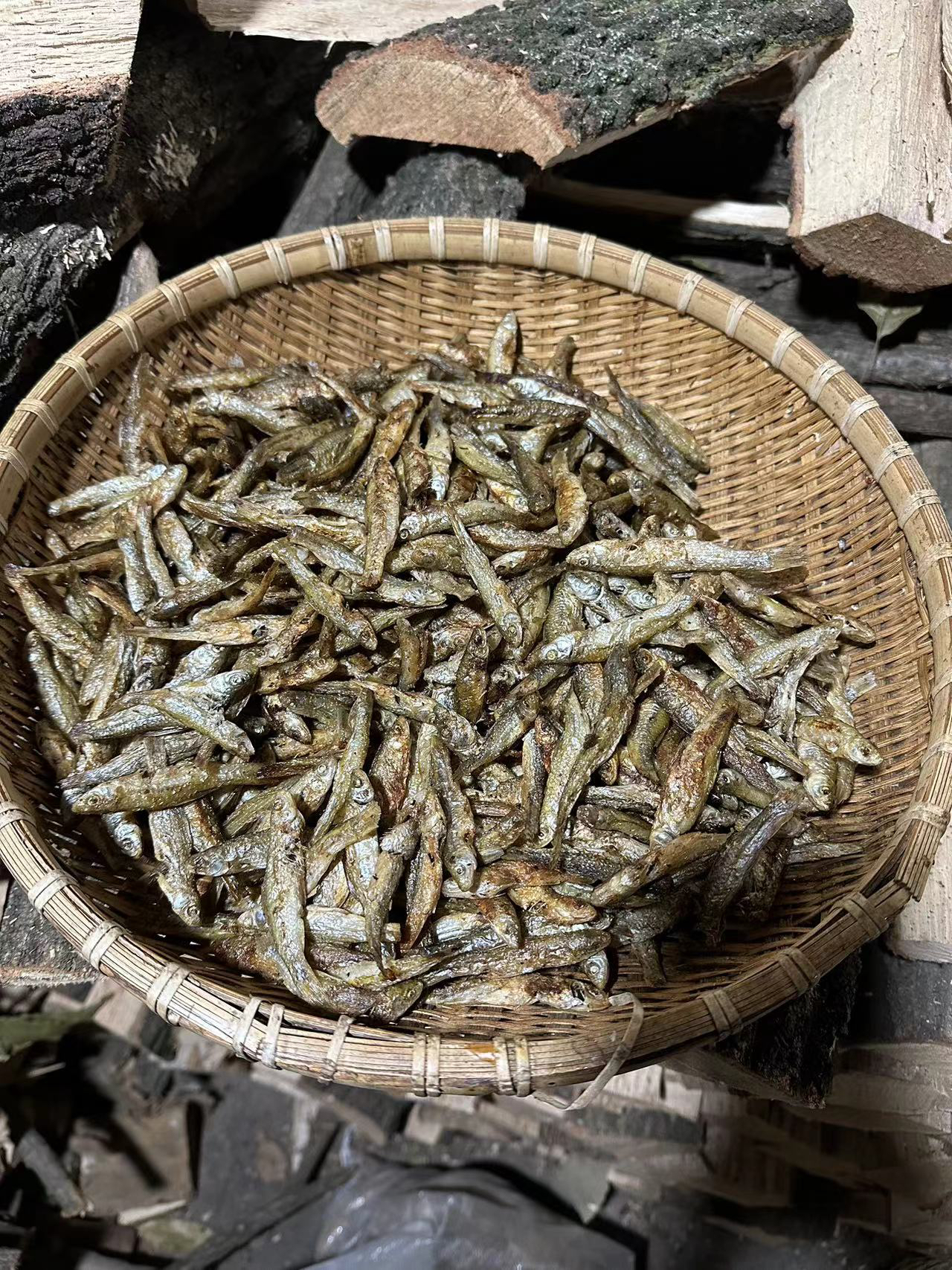 小河沟野生小鱼麻草孙