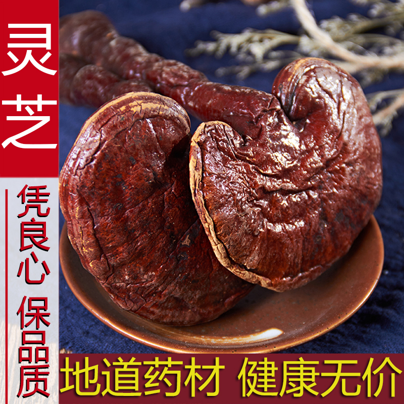 正品 新货长白山紫灵芝半野生灵芝片林芝特产500批包邮发灵芝个