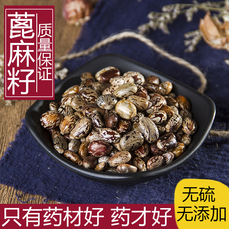 新货野生蓖麻子蓖麻籽500包邮红大麻子中药材蓖麻仁蓖麻种子