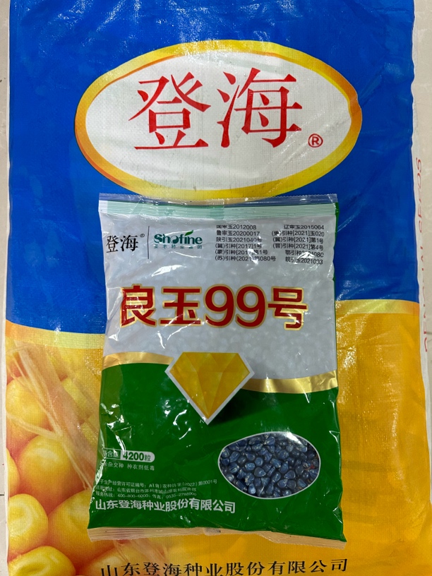 良玉99玉米种1单1袋45元
