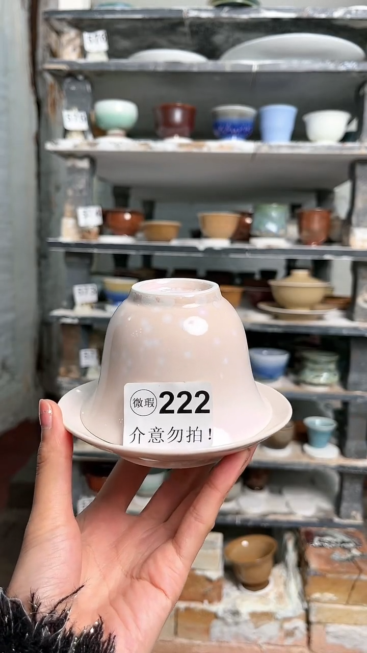 【闪购商品】陶瓷v222