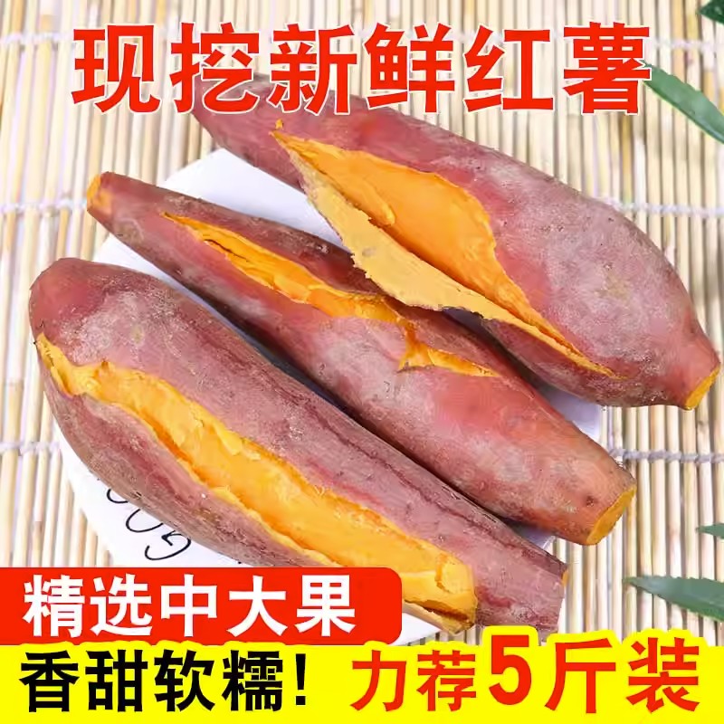 龙九黄心红薯新鲜10斤溏心蜜薯烤地瓜现挖红薯板栗番薯沙地农家