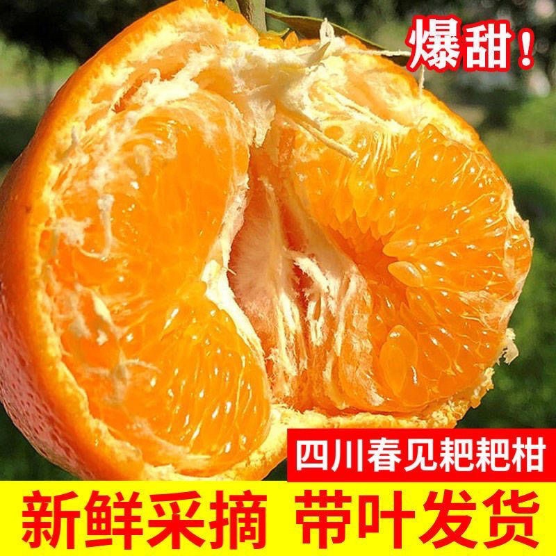 【超低价】超甜正宗四川春见耙耙柑1/5/9斤现摘粑粑柑新鲜水果丑橘