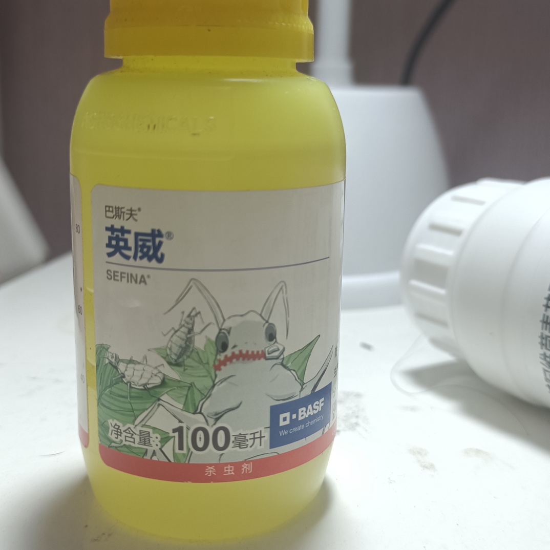 巴斯夫（英威）牌杀虫剂！双丙环虫脂！杀卷叶蚜虫！蓟马