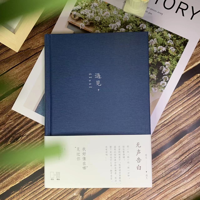 青禾纪手账本告白情书文案本子文艺简约ins风日记本学生笔记本子