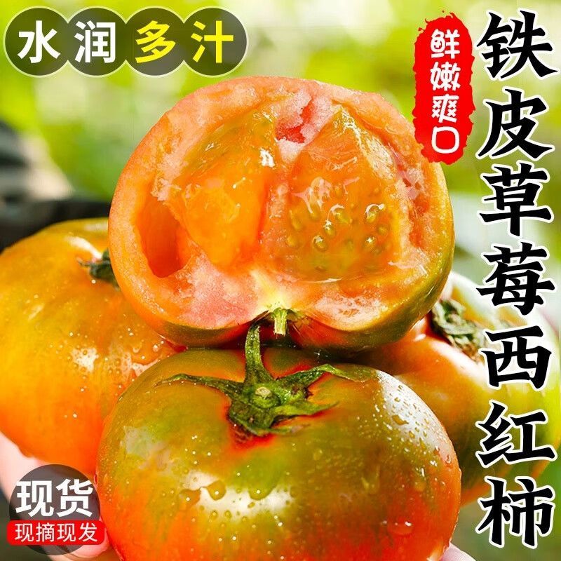 丹东铁皮西红柿铁皮草莓柿子新鲜水果生吃绿腚番茄水果番茄1斤
