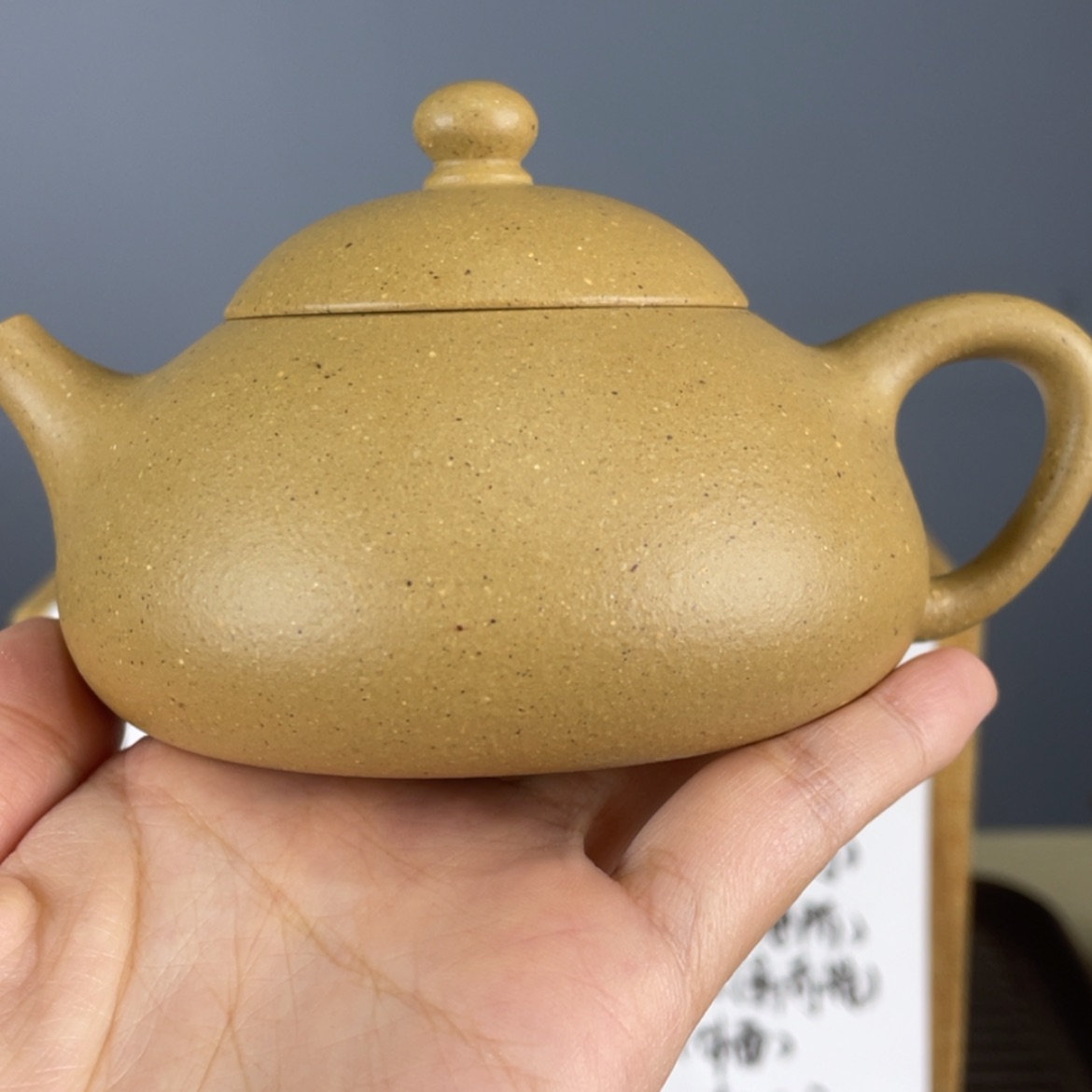 【闪购商品】紫砂茶壶
