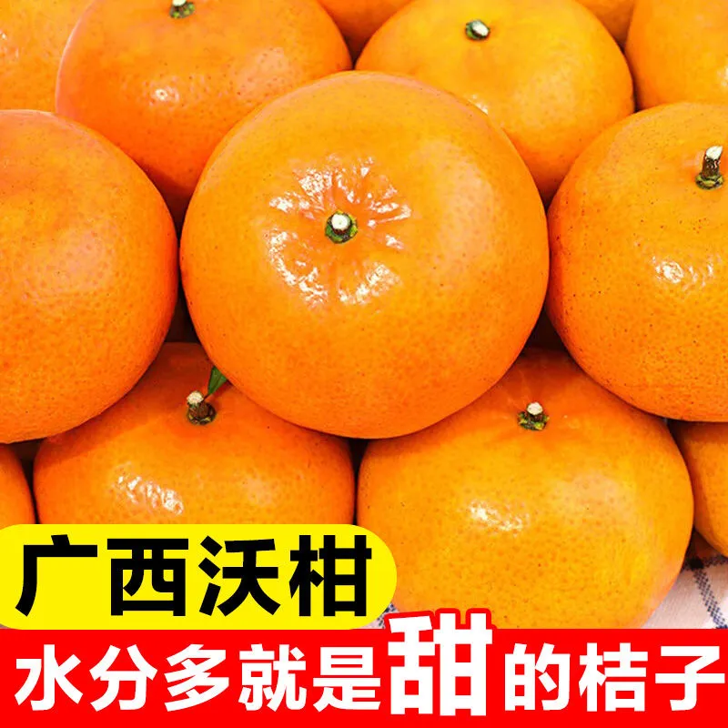 【抢购中】广西武鸣沃柑1-9斤新鲜水果当季整箱批发薄皮沙糖蜜橘